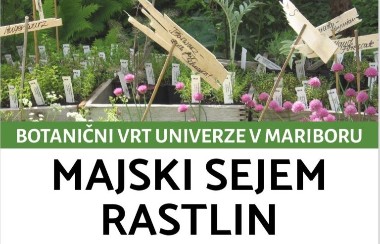 Majski sejem rastlin v Botaničnem vrtu Univerze v Mariboru
